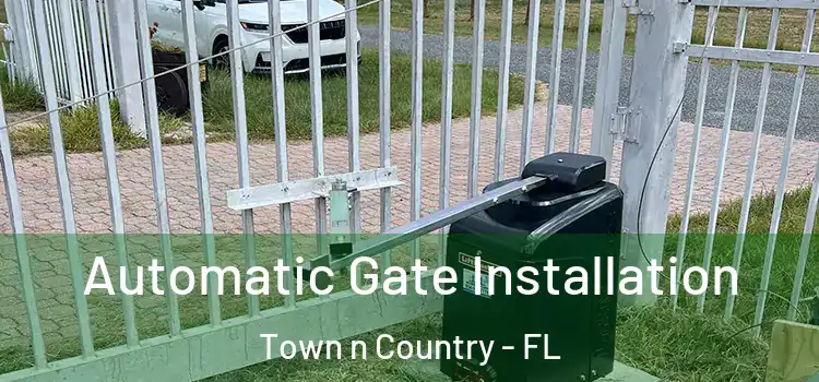  Automatic Gate Installation Town n Country - FL