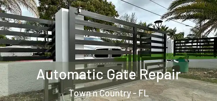 Automatic Gate Repair Town n Country - FL