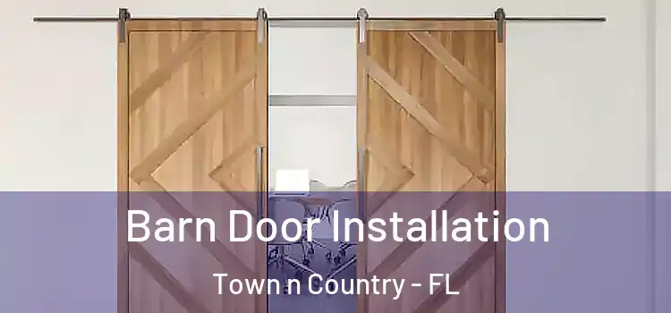  Barn Door Installation Town n Country - FL