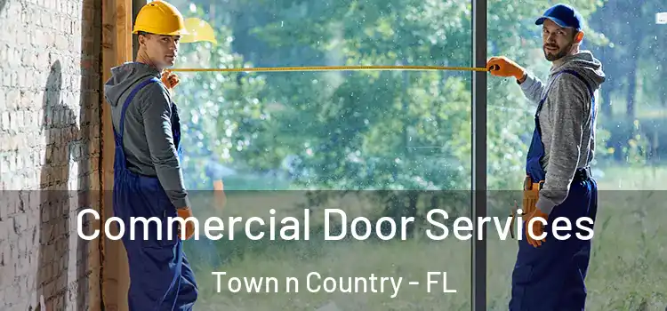  Commercial Door Services Town n Country - FL