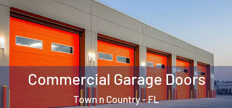  Commercial Garage Doors Town n Country - FL