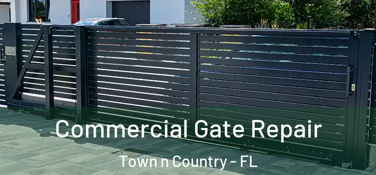  Commercial Gate Repair Town n Country - FL