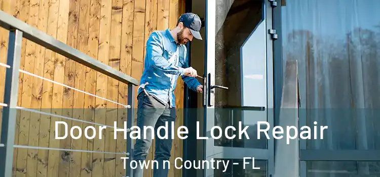 Door Handle Lock Repair Town n Country - FL