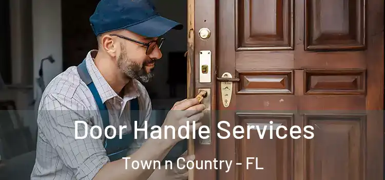 Door Handle Services Town n Country - FL
