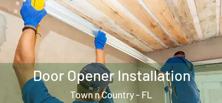  Door Opener Installation Town n Country - FL