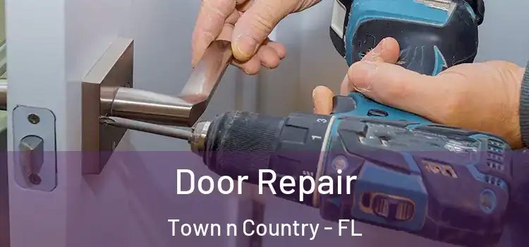  Door Repair Town n Country - FL