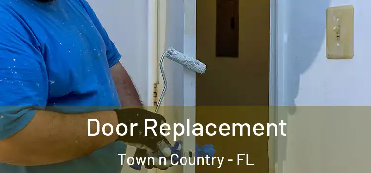  Door Replacement Town n Country - FL
