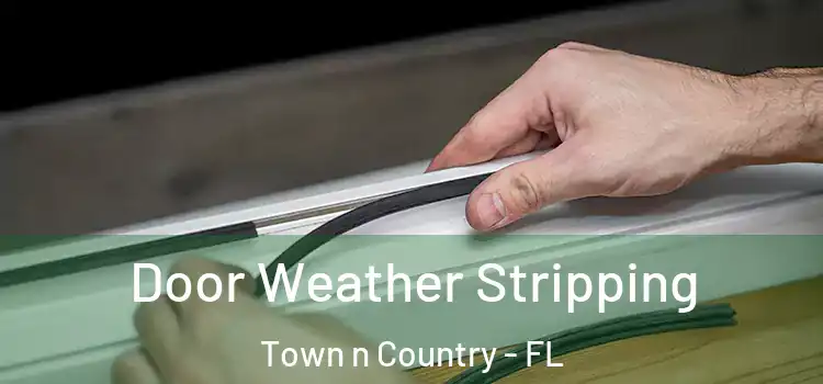  Door Weather Stripping Town n Country - FL