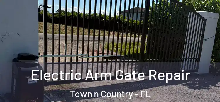  Electric Arm Gate Repair Town n Country - FL