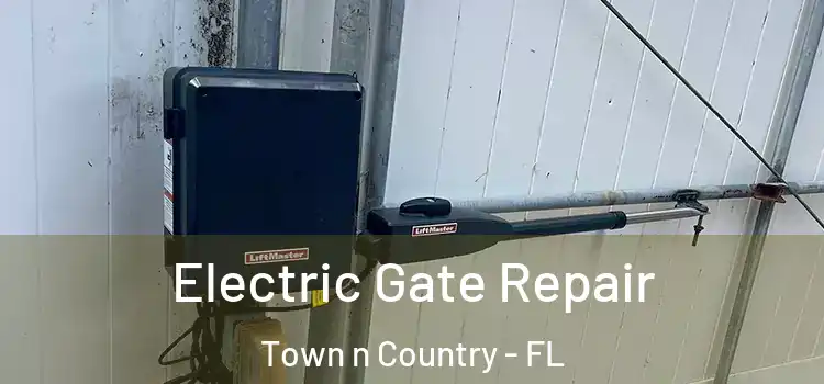  Electric Gate Repair Town n Country - FL