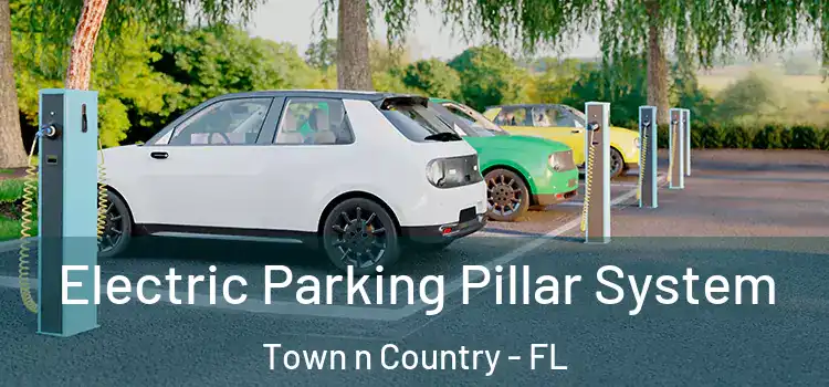  Electric Parking Pillar System Town n Country - FL
