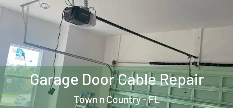  Garage Door Cable Repair Town n Country - FL