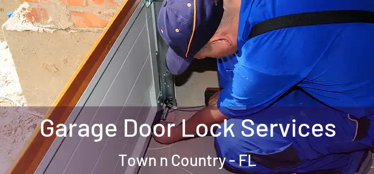  Garage Door Lock Services Town n Country - FL