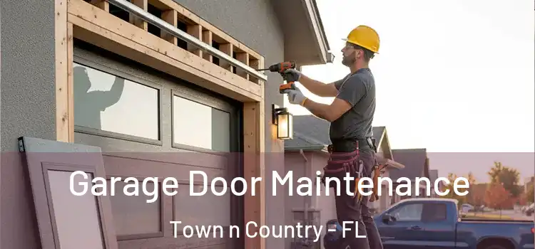  Garage Door Maintenance Town n Country - FL