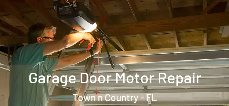  Garage Door Motor Repair Town n Country - FL