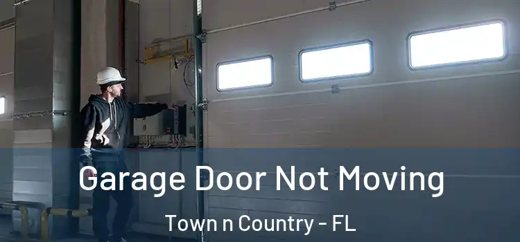  Garage Door Not Moving Town n Country - FL