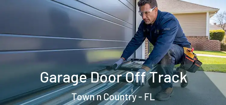  Garage Door Off Track Town n Country - FL