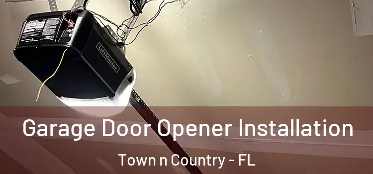  Garage Door Opener Installation Town n Country - FL