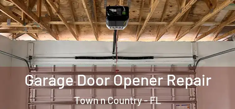  Garage Door Opener Repair Town n Country - FL