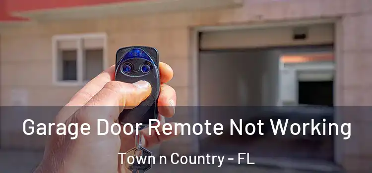  Garage Door Remote Not Working Town n Country - FL