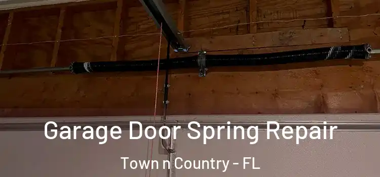  Garage Door Spring Repair Town n Country - FL