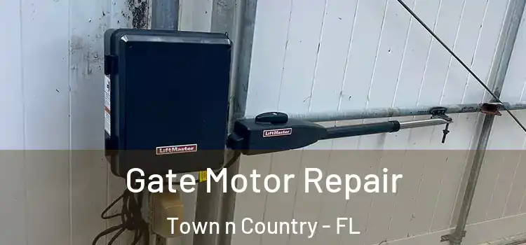  Gate Motor Repair Town n Country - FL