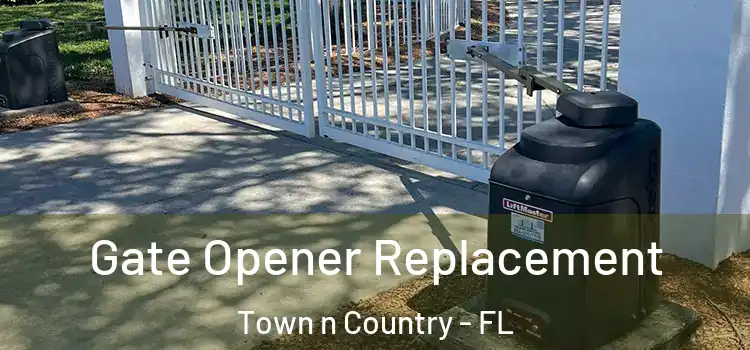 Gate Opener Replacement Town n Country - FL