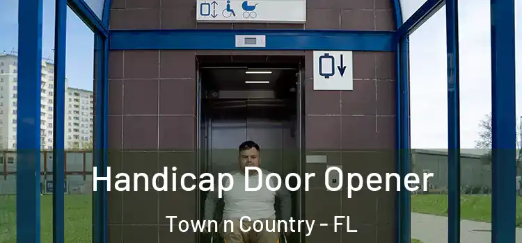  Handicap Door Opener Town n Country - FL