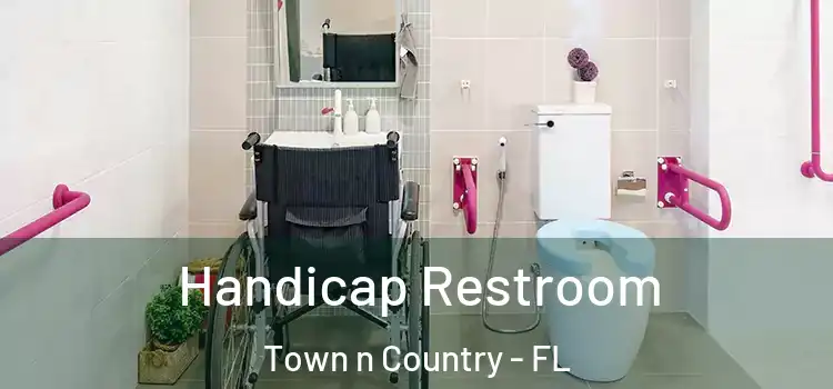  Handicap Restroom Town n Country - FL