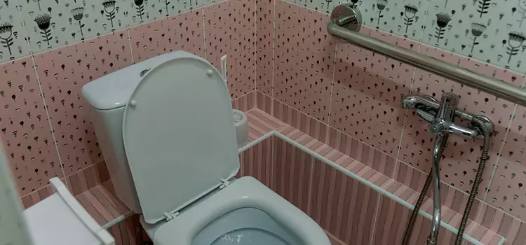 Meeting Diverse Needs With Accessible Restroom Solutions in Town n Country, FL