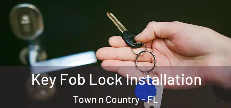  Key Fob Lock Installation Town n Country - FL