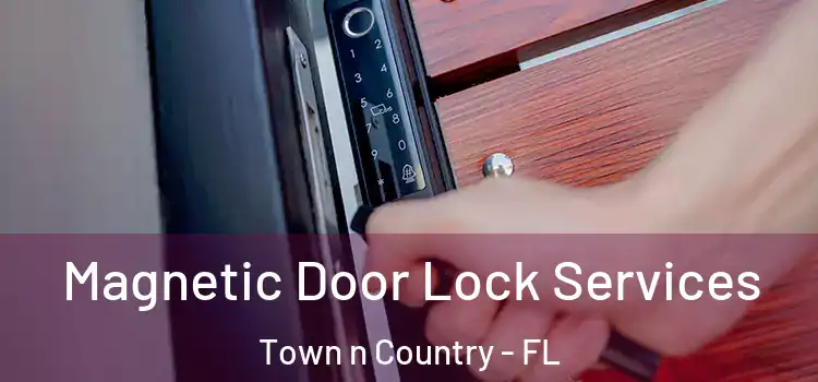 Magnetic Door Lock Services Town n Country - FL