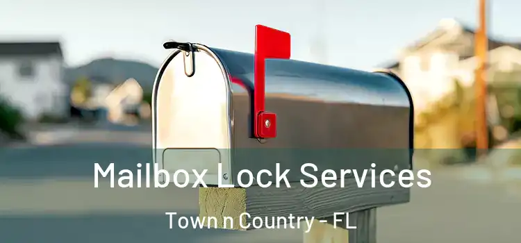 Mailbox Lock Services Town n Country - FL