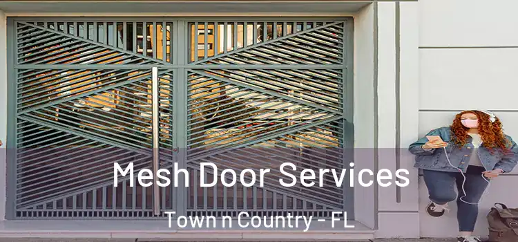  Mesh Door Services Town n Country - FL