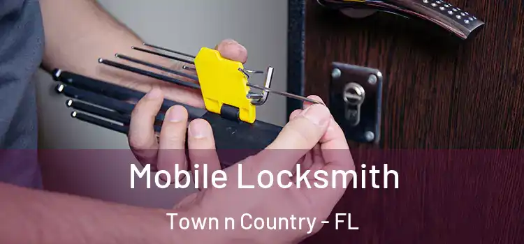  Mobile Locksmith Town n Country - FL