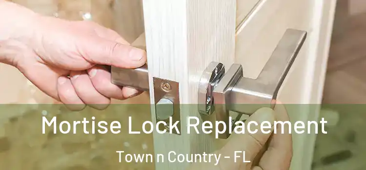 Mortise Lock Replacement Town n Country - FL