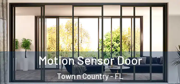  Motion Sensor Door Town n Country - FL