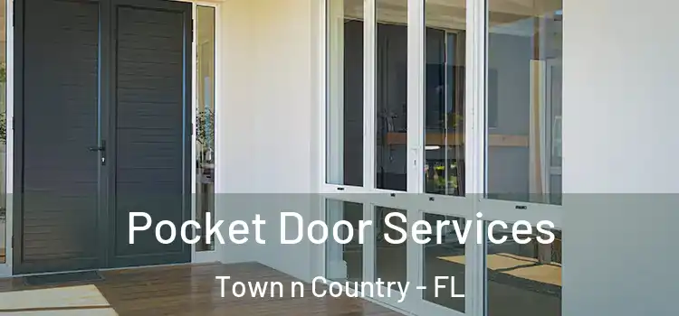  Pocket Door Services Town n Country - FL