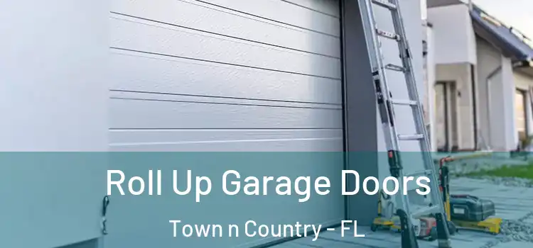  Roll Up Garage Doors Town n Country - FL