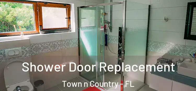  Shower Door Replacement Town n Country - FL