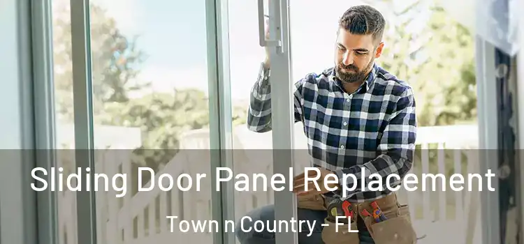  Sliding Door Panel Replacement Town n Country - FL