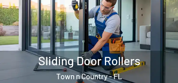  Sliding Door Rollers Town n Country - FL
