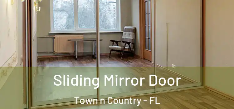  Sliding Mirror Door Town n Country - FL