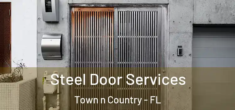  Steel Door Services Town n Country - FL