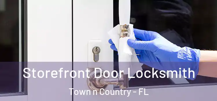  Storefront Door Locksmith Town n Country - FL