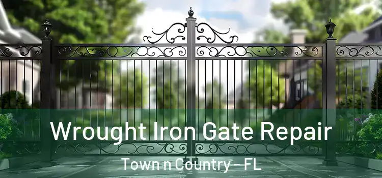Wrought Iron Gate Repair Town n Country - FL
